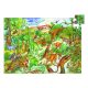 Dinoszauruszok, 100 db-os megfigyelő puzzle - Dinosaurs + booklet - 100 pcs - Djeco